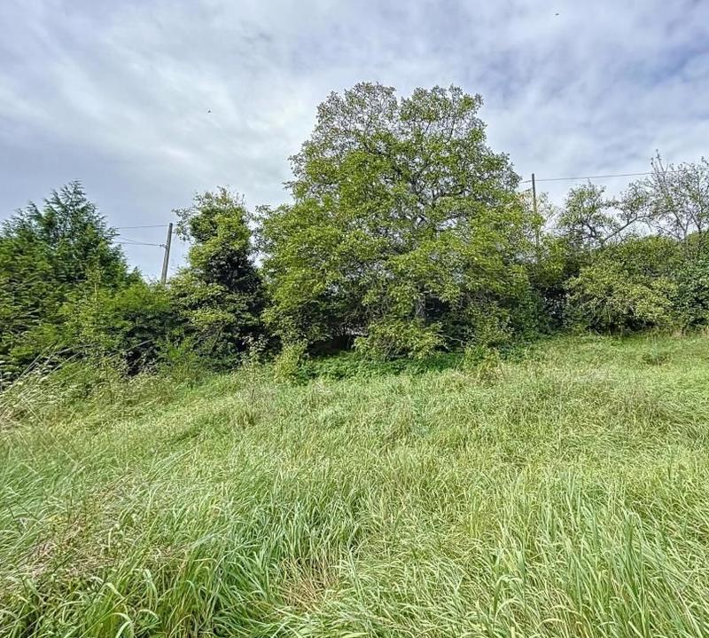 Terrain - 470 m²