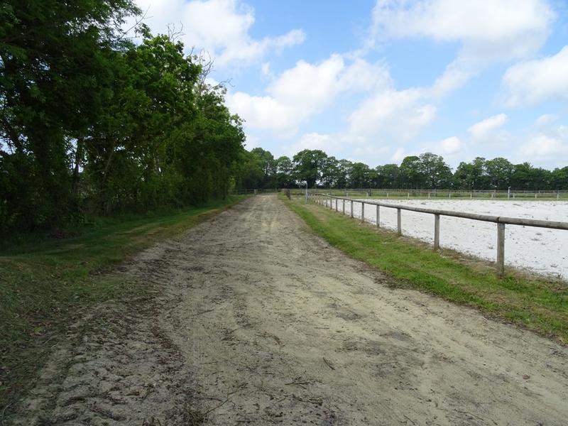 Maison - 133 m² - 7 pièces