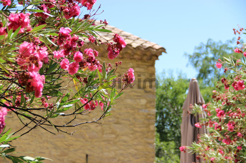 Mas - 302 m² - 11 pièces