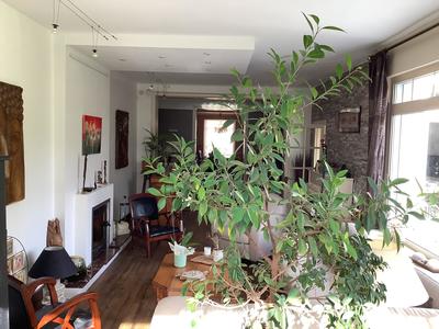 Maison - 222 m² - 7 pièces