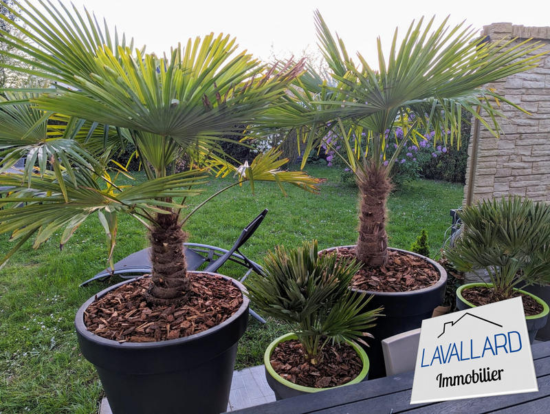 Maison - 134 m² - 6 pièces