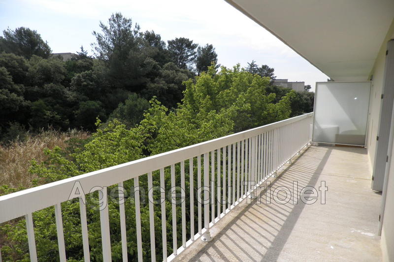 Appartement - 24 m² - 1 pièce