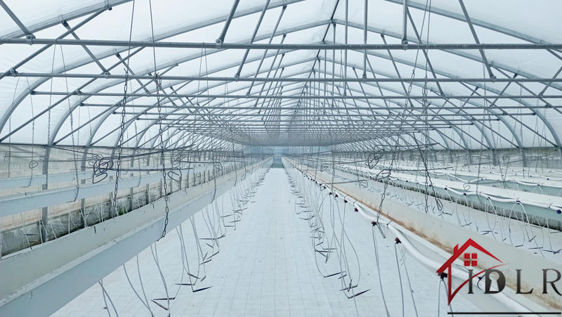 Local d'activités - 80 000 m²