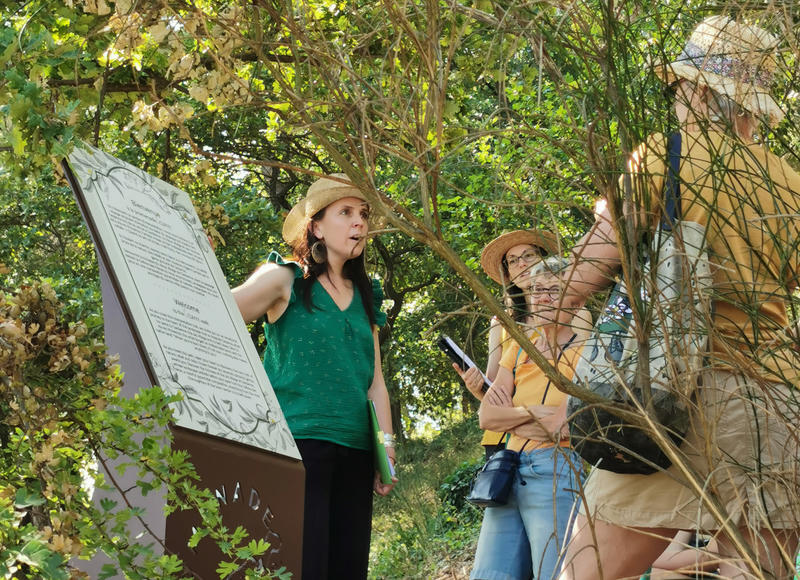 Visite guidée - Promenade Cezanne à Gardanne