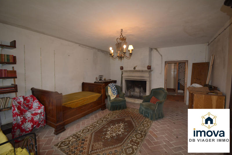 Viager - Maison - 381 m² - 11 pièces