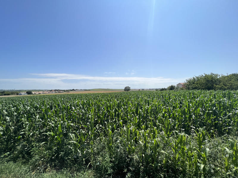 Maison - 220 m² - 7 pièces