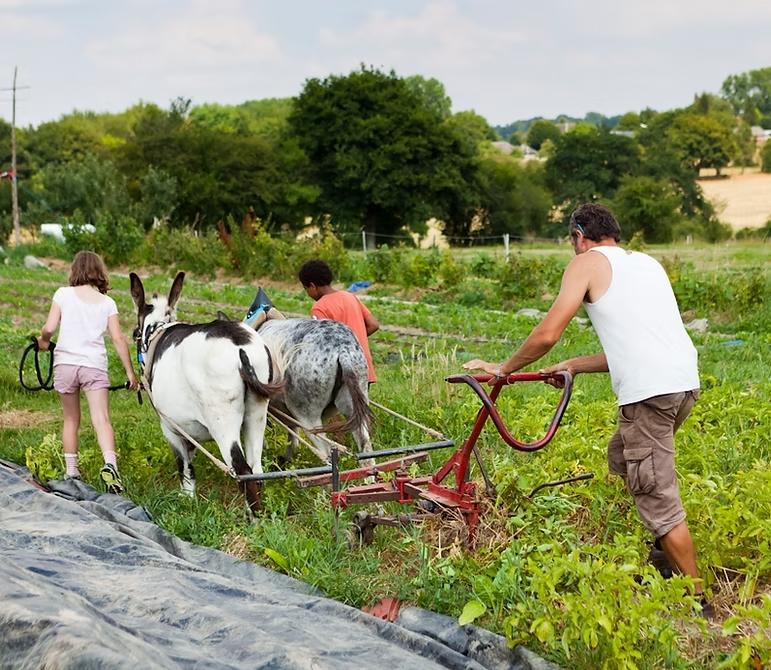 Les dimanches de l'autonomie au potager bio