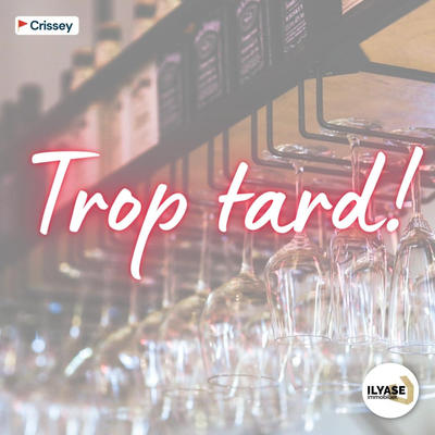 Fonds de commerce - Magasins - 255 m²