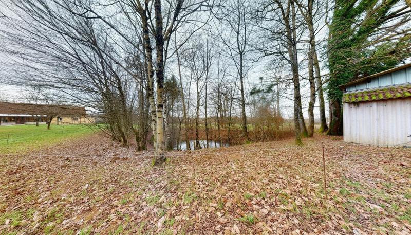 Propriété - 5 pièces