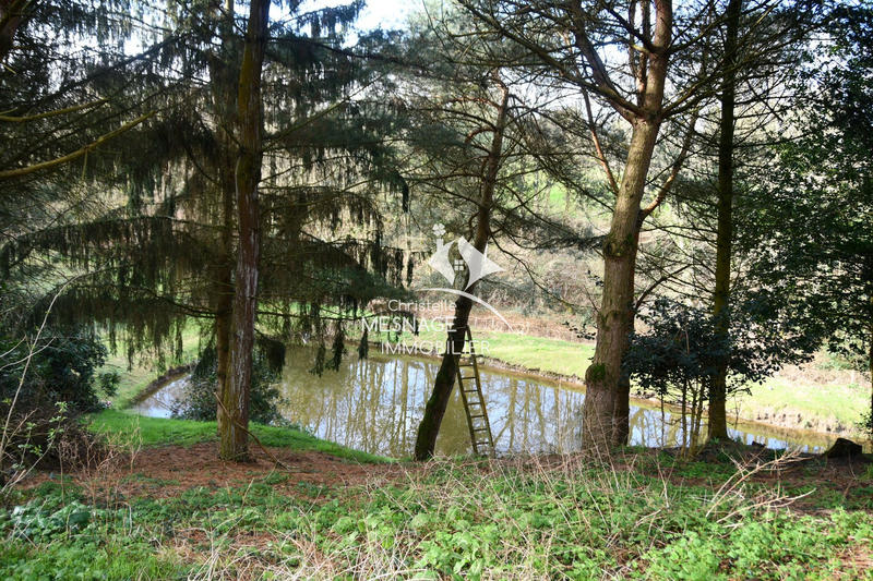 Maison - 85 m² - 5 pièces