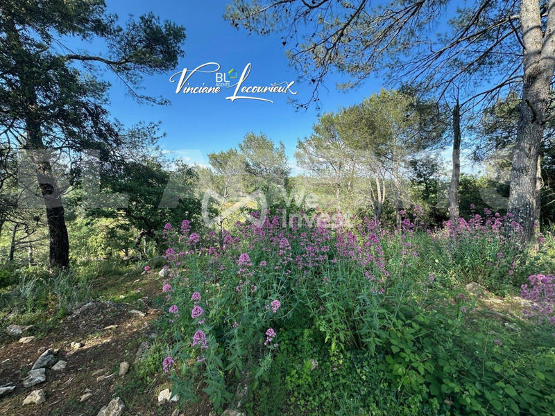 Maison - 185 m² - 8 pièces