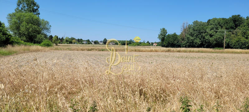 Maison - 144 m² - 5 pièces