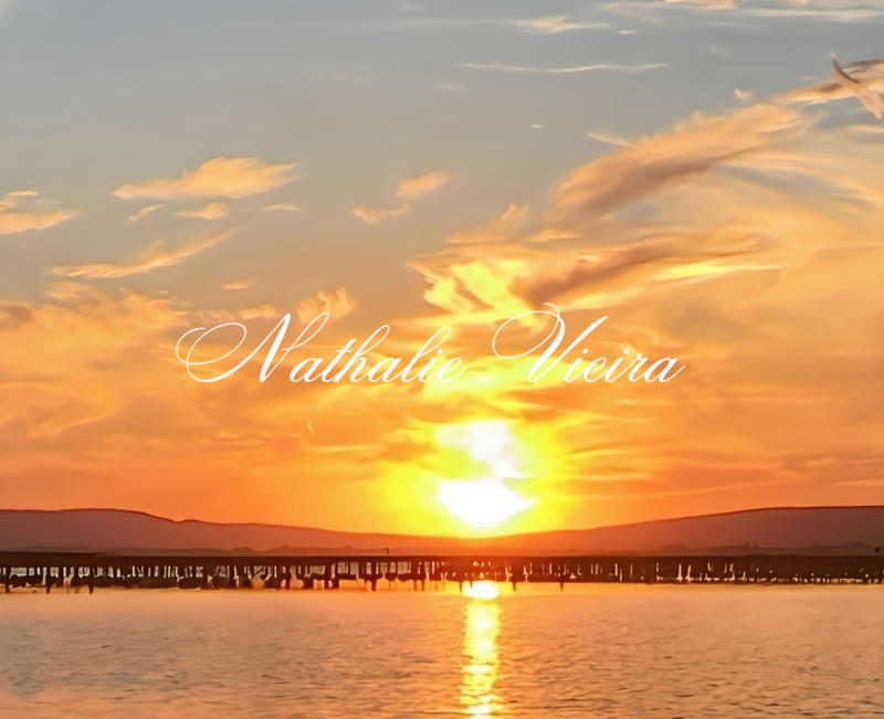 Appartement - 29 m² - 1 pièce