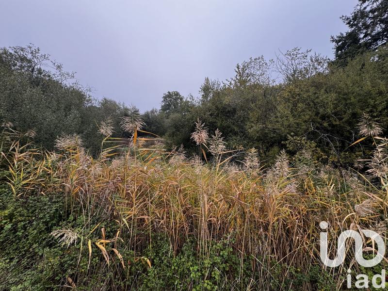 Terrain - 10 836 m²