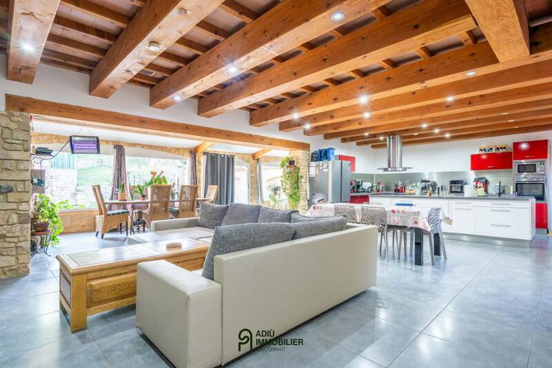 Maison - 381 m² - 9 pièces