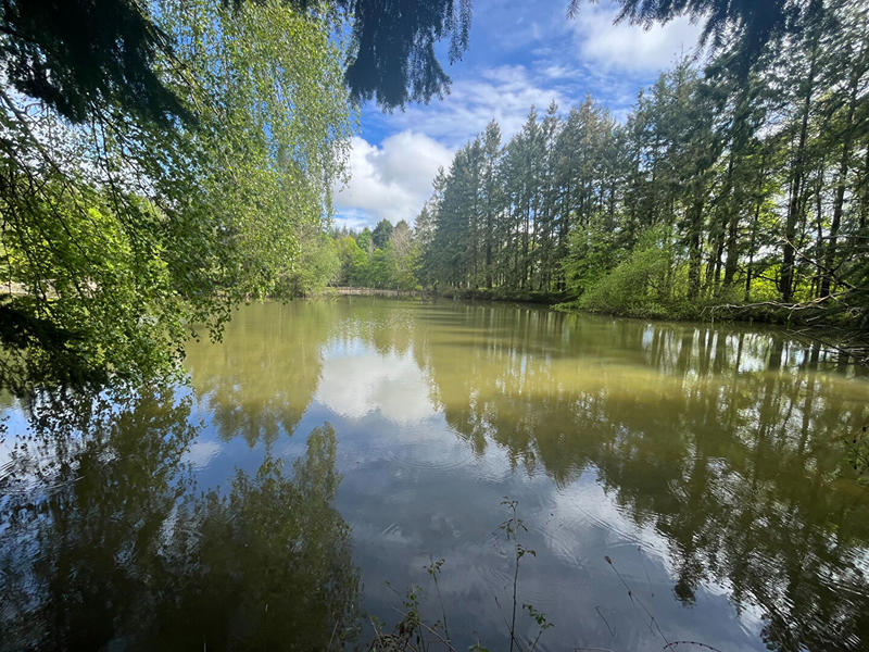 Terrain de loisirs - 23 143 m²