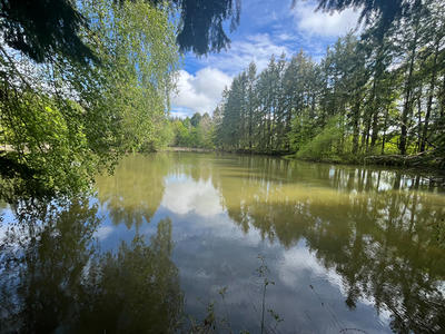 Terrain de loisirs - 23 143 m²