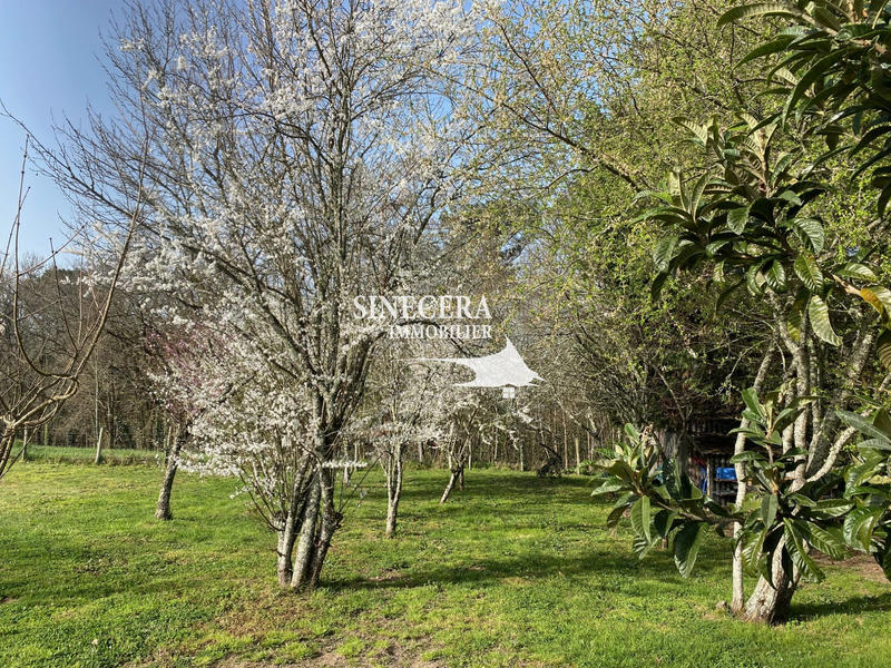 Maison - 96 m² - 4 pièces