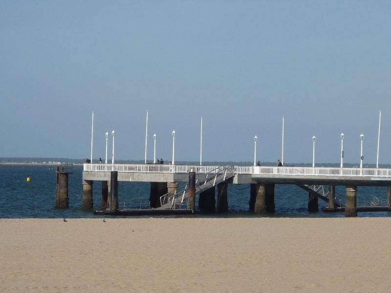 Studio - 30 m² - 1 pièce