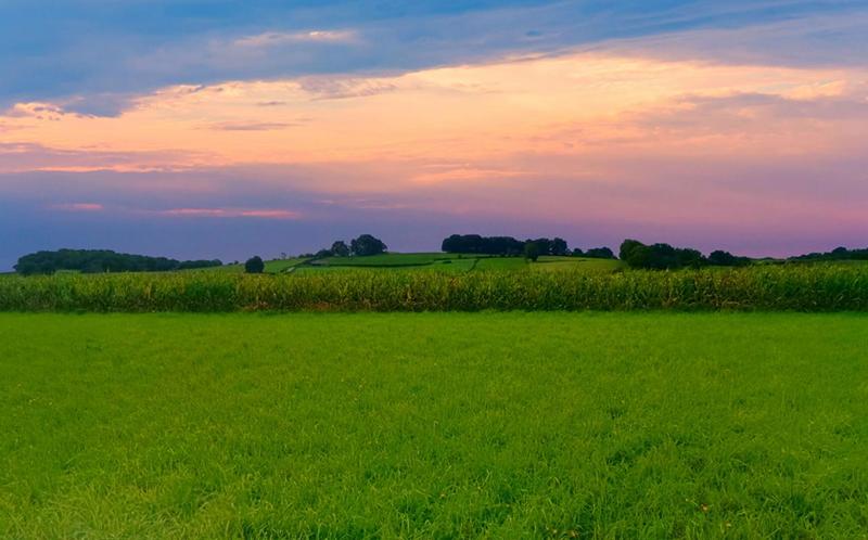 Terrain constructible - 11 000 m²