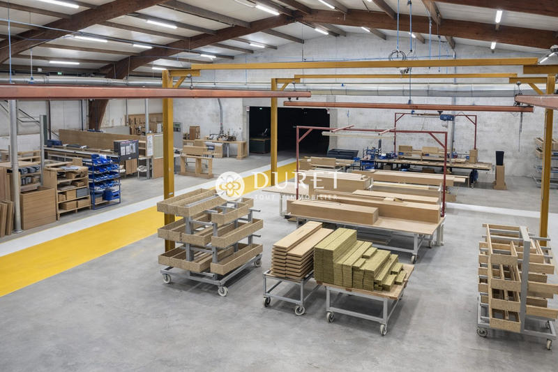 Local d'activités - 737 m²