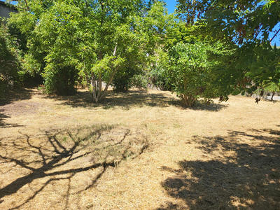 Terrain - 650 m²