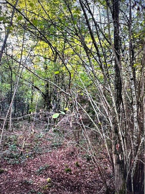 Terrain agricole - 79 305 m²