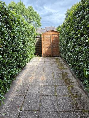 Appartement - 17 m² - 1 pièce