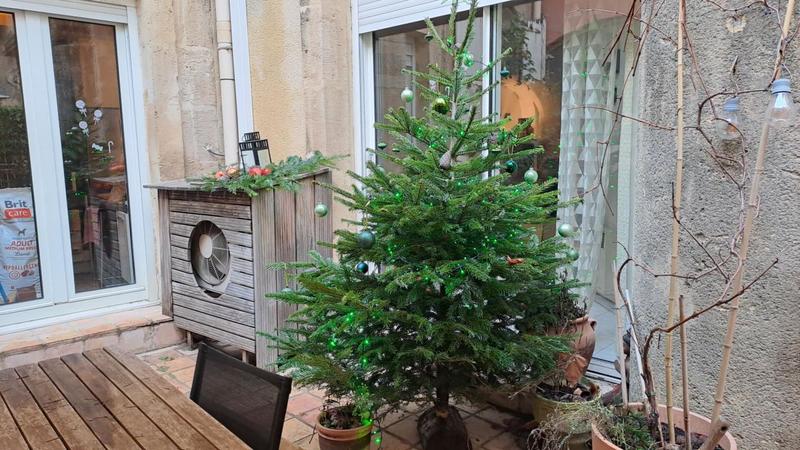 Appartement - 48 m² - 2 pièces