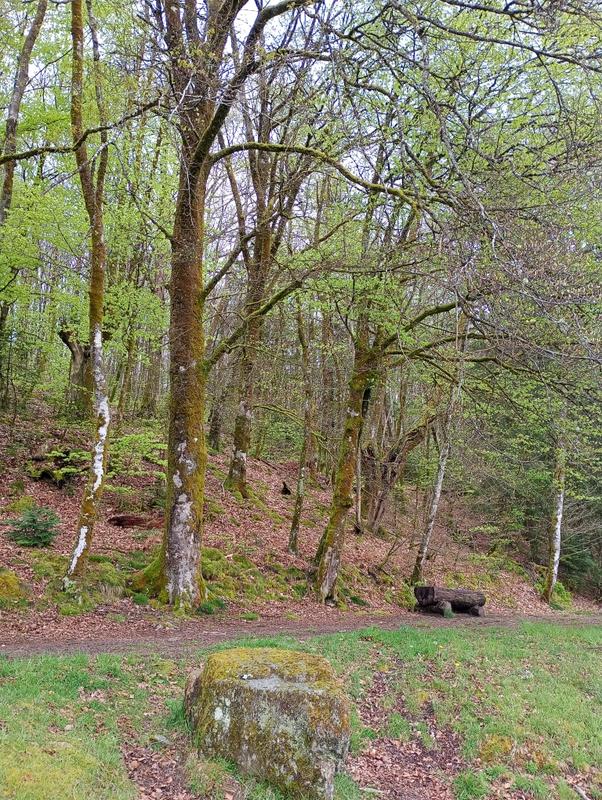 Sophrobalade, une vraie pause, pour revenir à l'Essentiel, au cœur de la Nature !