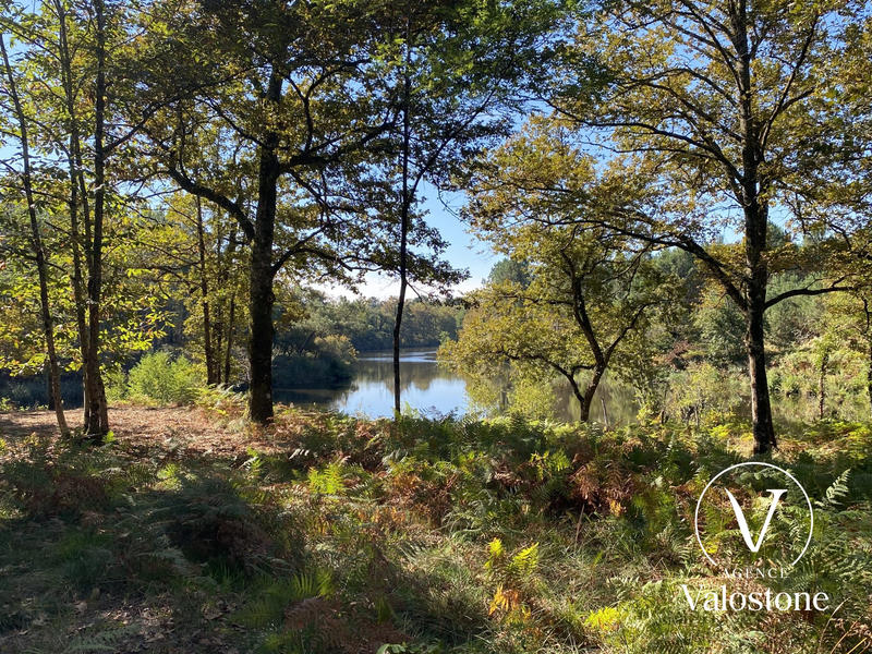 Maison - 246 m² - 6 pièces