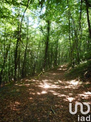 Terrain - 20 445 m²