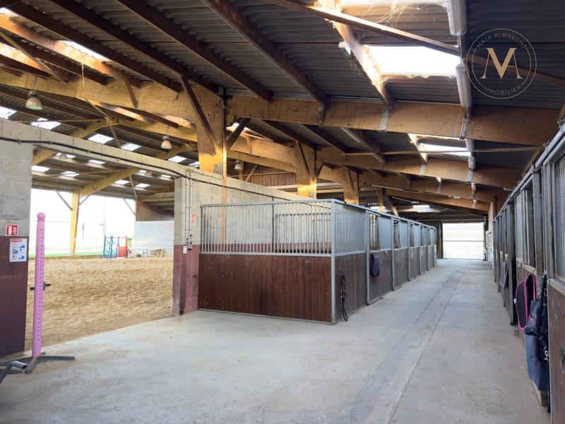 Haras - 118 m² - 6 pièces