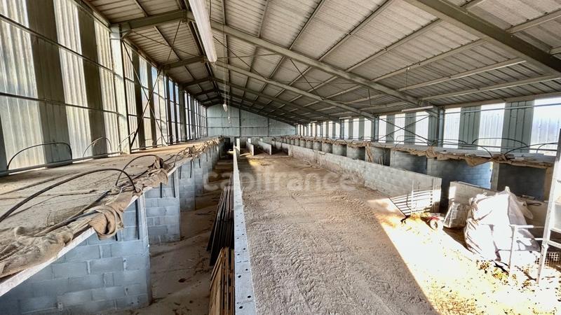 Propriété - 2 061 m² - 4 pièces