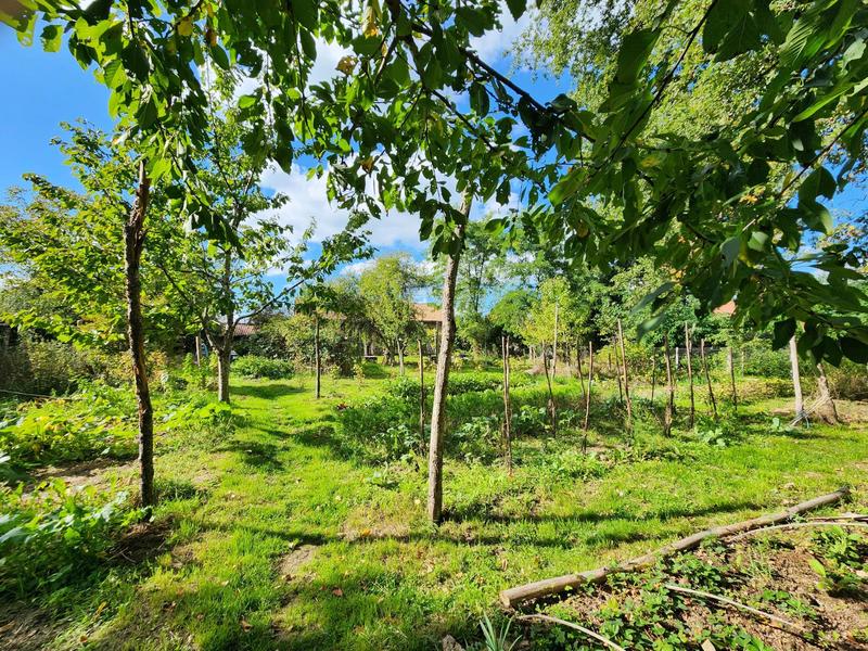 Maison - 235 m² - 8 pièces