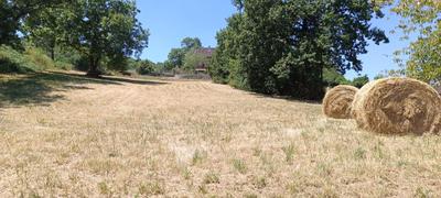 Terrain constructible - 1 823 m²