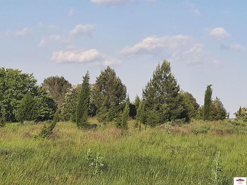 Terrain - 33 000 m²