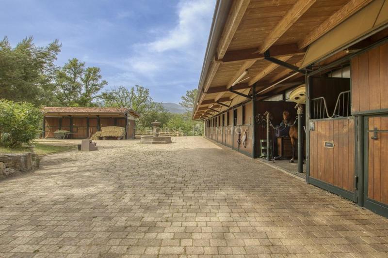 Haras - 600 m² - 20 pièces