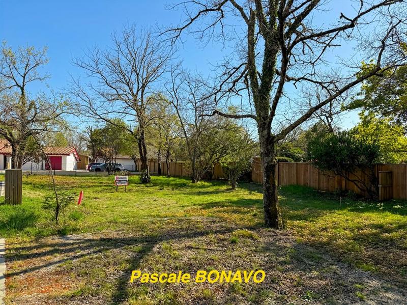 Terrain constructible - 732 m²