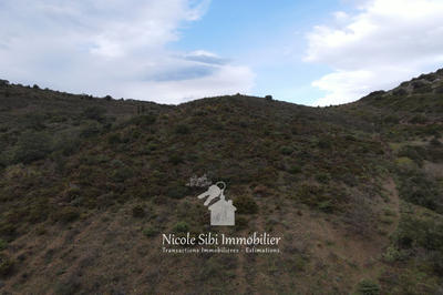 Terrain - 54 574 m²