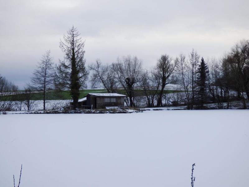 Terrain - 13 730 m²