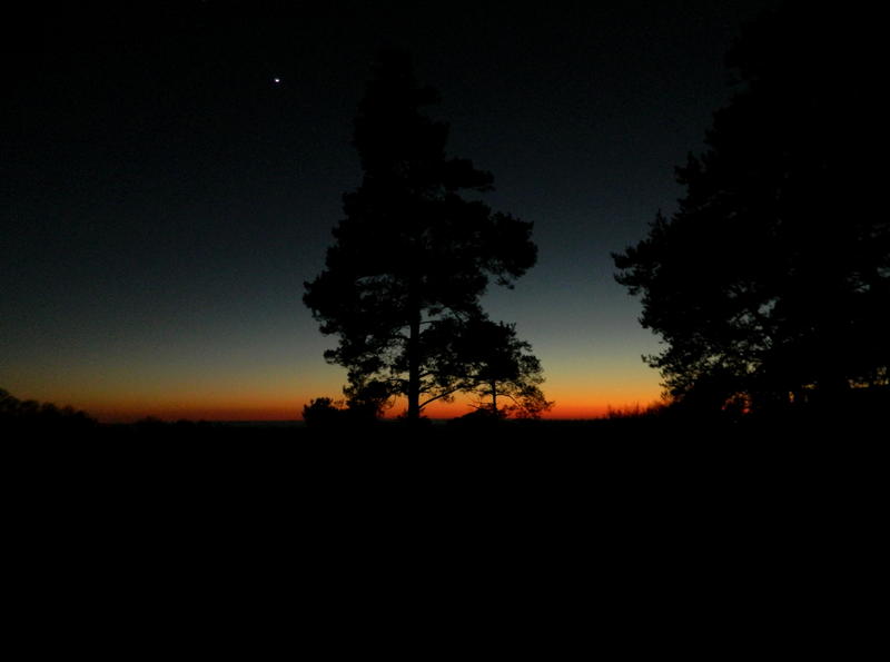 Expédition naturelle à la lueur des étoiles