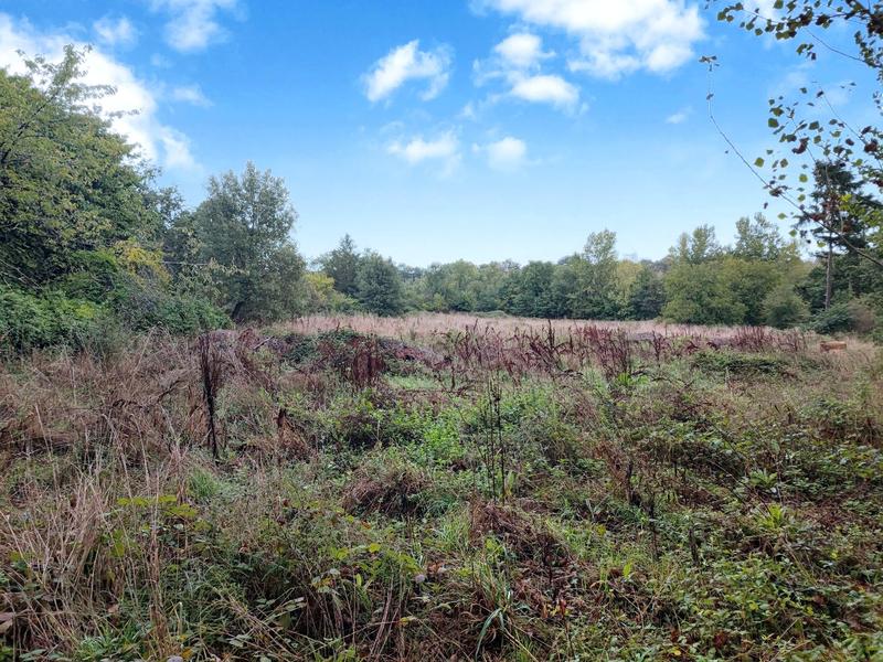 Maison - 226 m² - 7 pièces