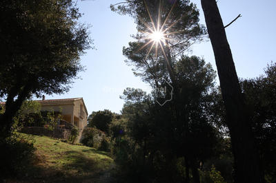 Maison - 175 m² - 6 pièces