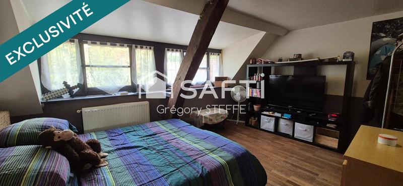 Maison de maîtres - 254 m² - 13 pièces