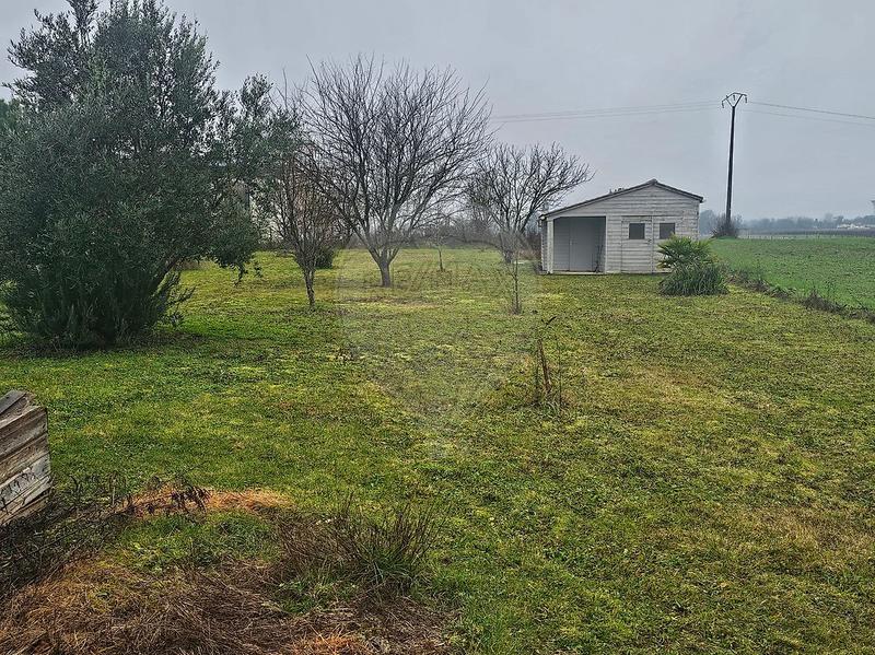 Pavillon - 116 m² - 5 pièces