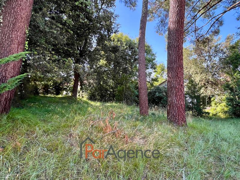 Maison - 116 m² - 6 pièces