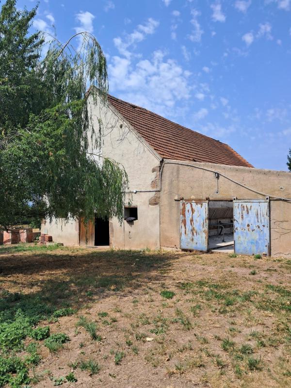 Corps de ferme - 67 m² - 6 pièces