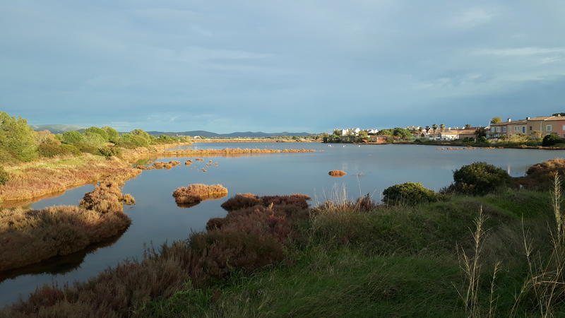 Espace nature des Salins d'Hyères