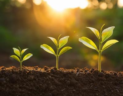 Fête de l'Hivers et Journée Portes Ouvertes